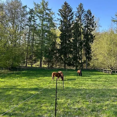 L'agolum - Baisy-thy