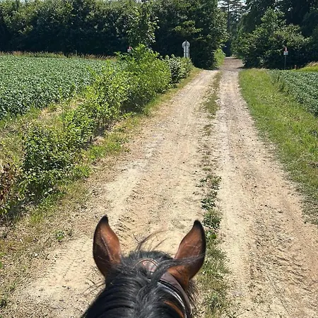 L'agolum - Baisy-thy