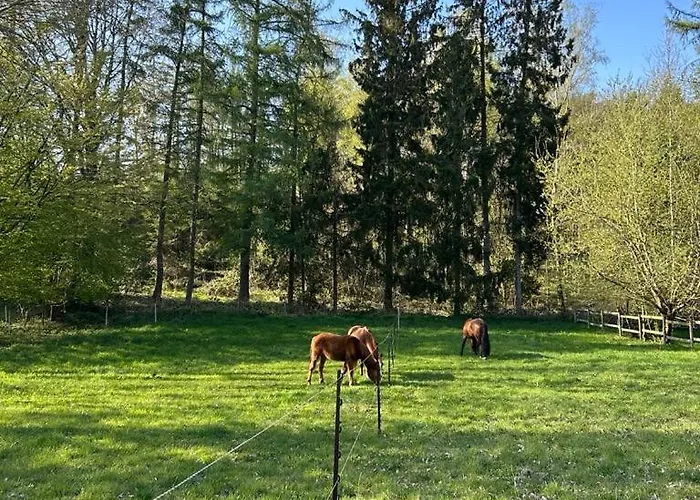 L'agolum - Baisy-thy